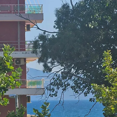 Modern Steps From The Sea In For 3 Appartement